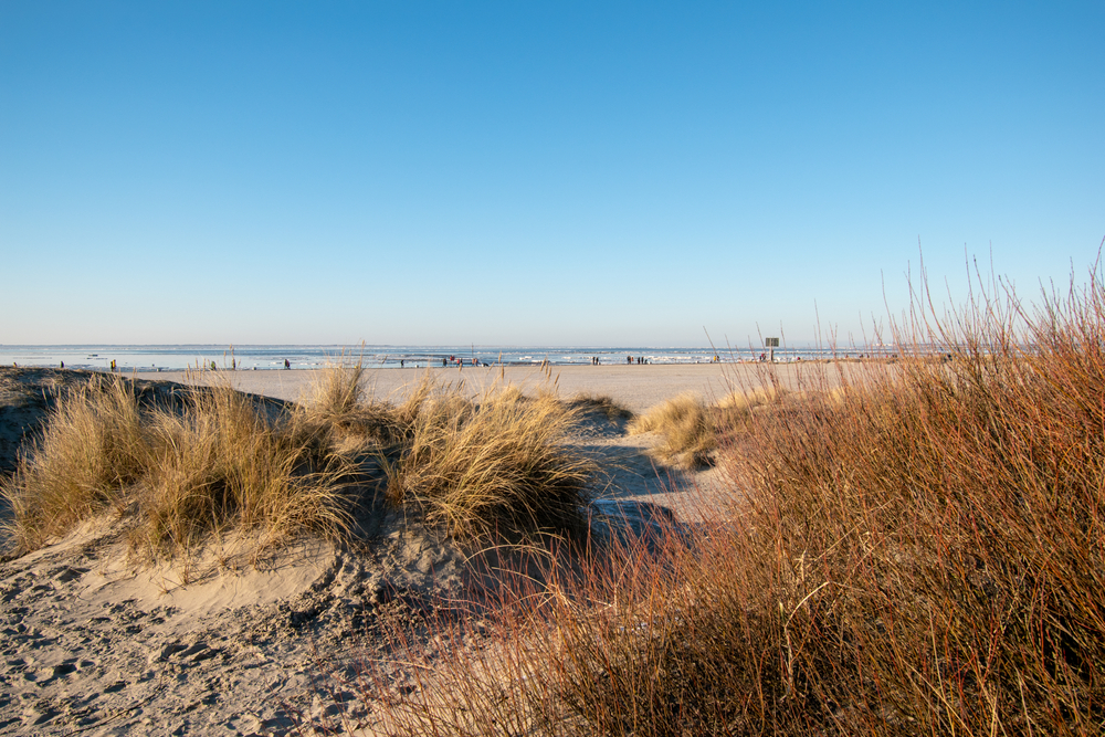 Beach in Norddeich